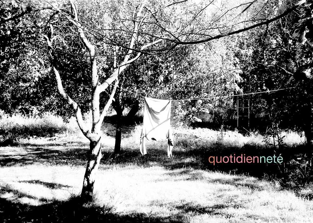 black and white photography of trees with title quotidiennete